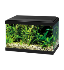 Acuario Aqua 20 LED Ciano