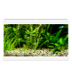Acuario Aqua 20 LED Ciano