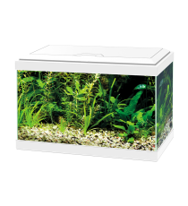 Acuario Aqua 20 LED Ciano