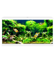 Acuario Ciano Aqua 60 LED