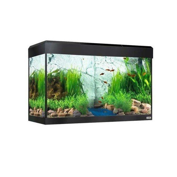 Kit Acuario Fluval Roma 125 con Iluminación LED