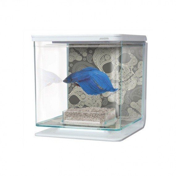 Kit Betta 2 Litros marina - Diseño Calavera