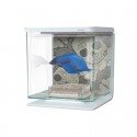 Kit Betta 2 Litros marina - Diseño Calavera