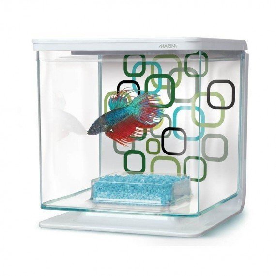 Kit Betta 2 Litros marina - Diseño Sun Swirl Kit Betta 2 Litros marina - Diseño Sun Swirl