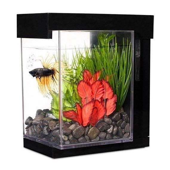 Bettera Ez Care 3,7 L Marina - Diseño Style Negro