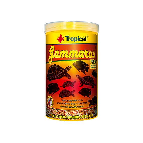 TROPICAL Gammarus