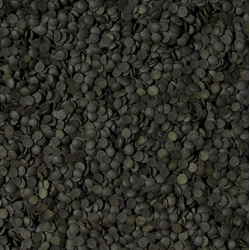 TROPICAL Spirulina Super Forte Chips 100 ml