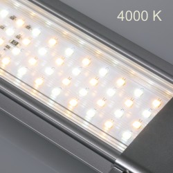 JBL Led Solar Natur
