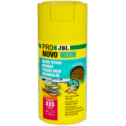 JBL Pronovo Neón Grano XXS...