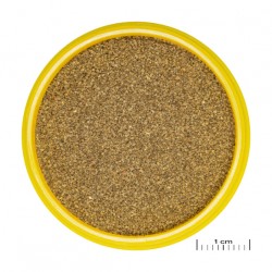 JBL Pronovo Neón Grano XXS 100 ml