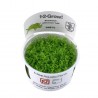 TROPICA - Micranthemum Callitrichoides 'Cuba' 1-2-Grow!