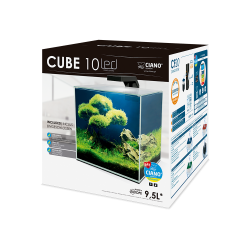 CIANO Cube 10