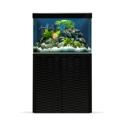 CIANO Acuario y Mueble...