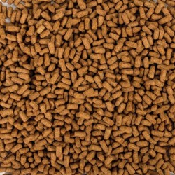 TROPICAL Biorept Supreme Young