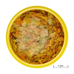 JBL Pronovo Betta Flakes S 100 ml