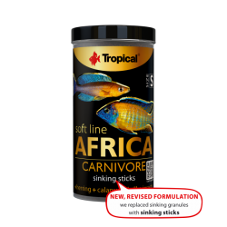 TROPICAL Africa Carnivore S...