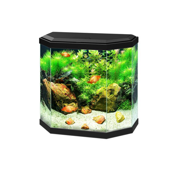Aqua 30 Led