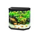 Aqua 30 Led