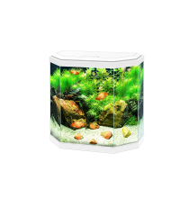 Aqua 30 Led