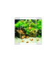 Aqua 30 Led