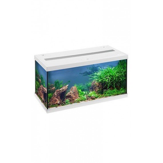 Aquastar 54 LED