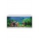 Aquastar 54 LED