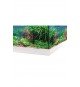 Aquastar 54 LED