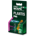 Plantis Pins