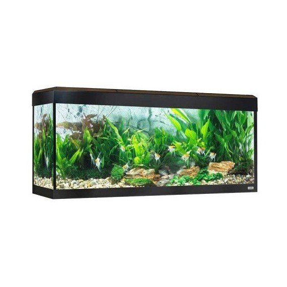 Kit Acuario Fluval Roma 240 con Iluminación LED