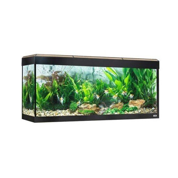 Kit Acuario Fluval Roma 240 con Iluminación LED