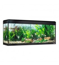 Kit Acuario Fluval Roma 240 con Iluminación LED