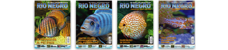 Revista Río Negro