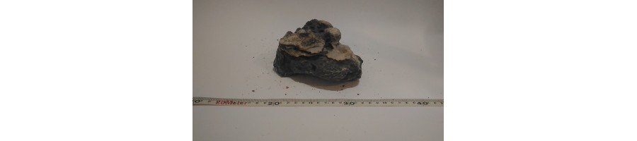 Roca Estratos Blancos Para Acuarios