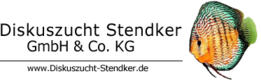 Diskuszucht Stendker